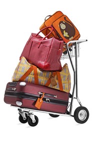 travel gear luggage price