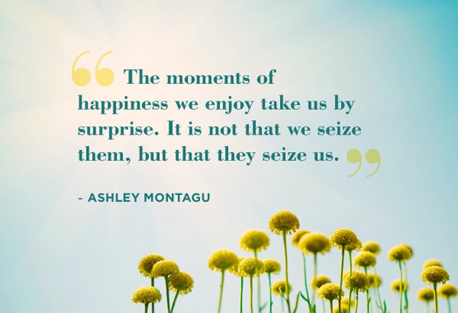 Ashley Montagu quote