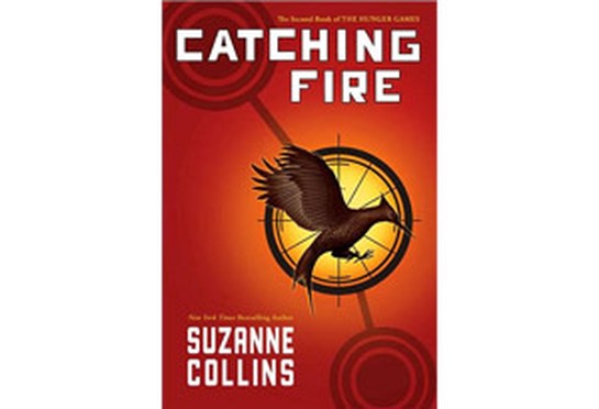 the catching fire book
