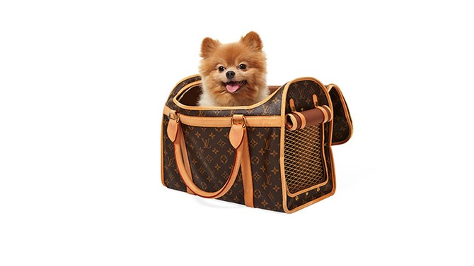 I love my LV dog carrier, I've had one for years and it only get's better  with age! :)