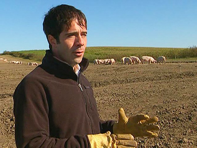 Jude Becker's organic pig farm